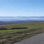 Hillview Langhe 公寓