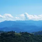 Hillview Langhe 公寓 Belvedere Langhe