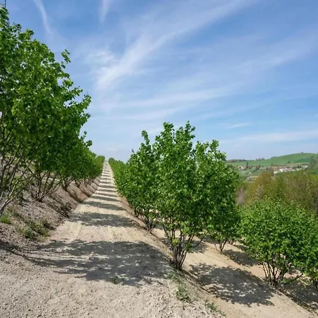 Hillview Langhe