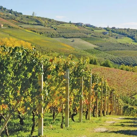 Hillview Langhe *