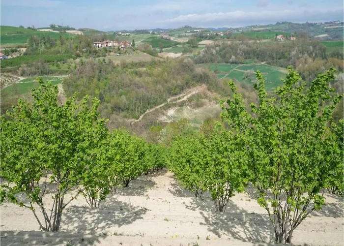 Hillview Langhe * Belvedere Langhe