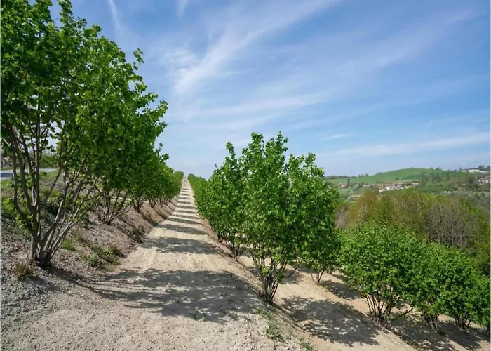 Hillview Langhe