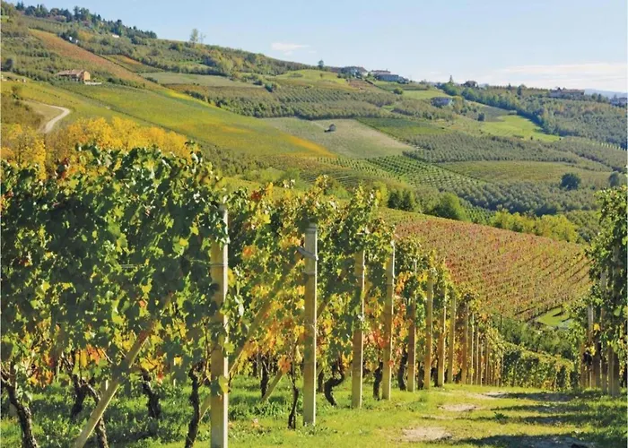 Hillview Langhe *